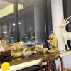 Amin Abdi - @amin.abdi50 - TikTok