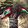 Safa Amin - @safa.amin - TikTok