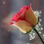 Amina Ait Hammou - @a_amina2 - Instagram
