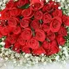 Amina Hammou - @amina85829 - TikTok