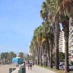 Amina Hammouda - @hammouda.amina - Instagram