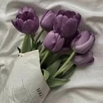 ⋆ αмιиα ⋆ - @amina__harris - Instagram