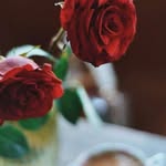 Amina Hashim - @aminahashim44 - Instagram