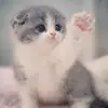 Amina Mitchell - @amina.mitchell - TikTok