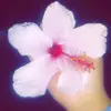 aminarivera10 - @aminarivera10 - TikTok