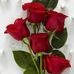 Amina Sy - Facebook