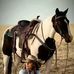Amina Sy - Facebook