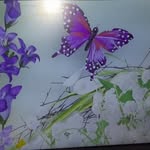 Amina Williams - @tak1ng_d0m1n1on777 - Instagram