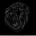 Amine Samaoui - Facebook