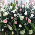 aminta pinto - @pintoaminta - Instagram