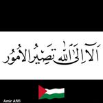 Amir Afifi - @amir_afefy - Instagram
