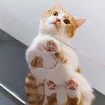 Amir Afifi Rodzi - @amir.afifi_007 - Instagram