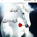 Amir.akhavan - @amir.akhavan3 - Instagram
