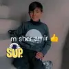 Amir Arif - @amir.arif67 - TikTok