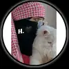 Amir Arya1122 - @amir.arya1122 - TikTok