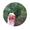 Amir Arya - @amir.arya8 - TikTok