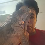 Amir.arya.60 - @amir.arya.60 - Instagram