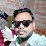 Amir Beg - @amirbeg655 - Instagram