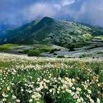 amir@@@behrooz - @mohsen.behrozkam1360 - Instagram