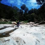 amir berkane - @amirbrkane - Instagram
