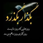 amir dabiri - @amirdabiri63 - Instagram