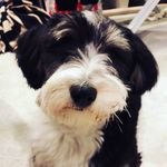 Amir dabiri fard - @faamirdabiri - Instagram