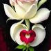 Amir Husain - Facebook