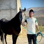 Amir/jafari - @amir_9571 - Instagram
