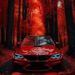 Amir OZ - Facebook