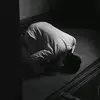 Amir Rashidi - @amir.rashidi826 - TikTok