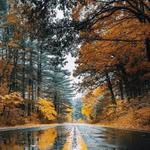 Amir Rouhani - @rwhny4891 - Instagram
