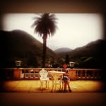 Amir Rouhani - @rouhani58 - Instagram