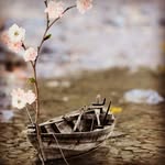 AmirRouhani - @amirrouhani98 - Instagram