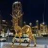 Amira 🇦🇪 - @amira.sadek2 - TikTok