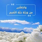 Amir Salim - Facebook