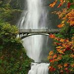 amir_vafaee - @amir_vafaee3691 - Instagram