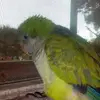 Xamira Benjamin - @xamira.benjamin8 - TikTok