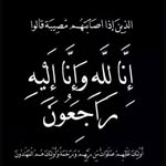 Amira Farid - @amirafarid4269 - Instagram