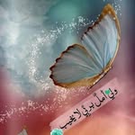 Amira Farid - @amirafared20 - Instagram