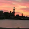 Amira Farid - @amira.farid42 - TikTok