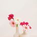 Amira Helal - Facebook