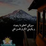 Amira Helal - @amira.helal.94 - Instagram
