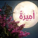 Amira Helal - @amira.helal - Instagram