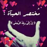 Amira Khalil - @amira_elbhery55 - Instagram