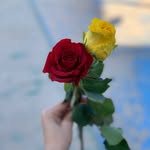 Amira mohammed - @amera3618 - Instagram