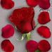 Amira Mona - Facebook