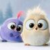 Amira Saad - Facebook