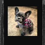 Amirah brown - @amirah_brown2005 - Instagram