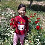 amirali ebadi - @amiraliebadi13 - Instagram
