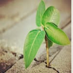 amir.ali_ebadi - @amir.ali_ebadi1392 - Instagram